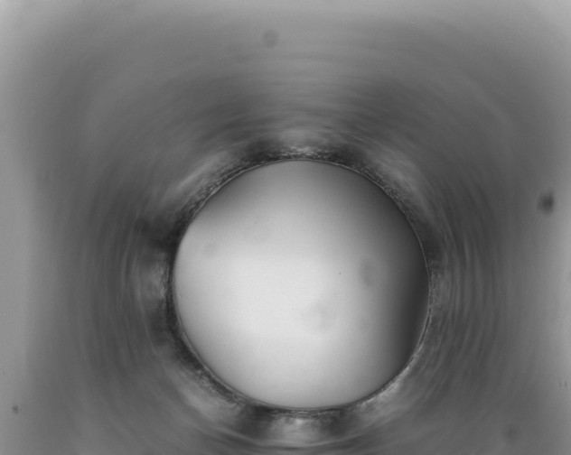 X0000089360174200706221208