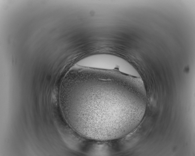 X0000089360175200706221208