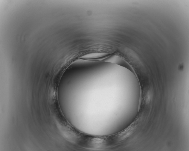X0000089360176200706221208
