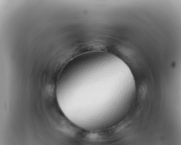 X0000089360177200706221208
