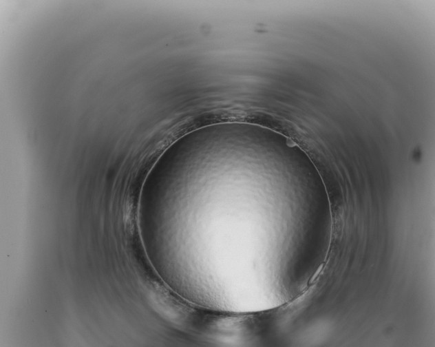 X0000089360178200706221208