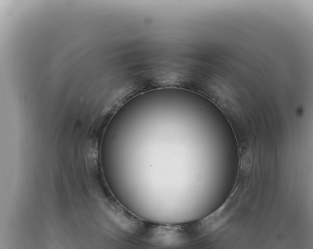 X0000089360179200706221208