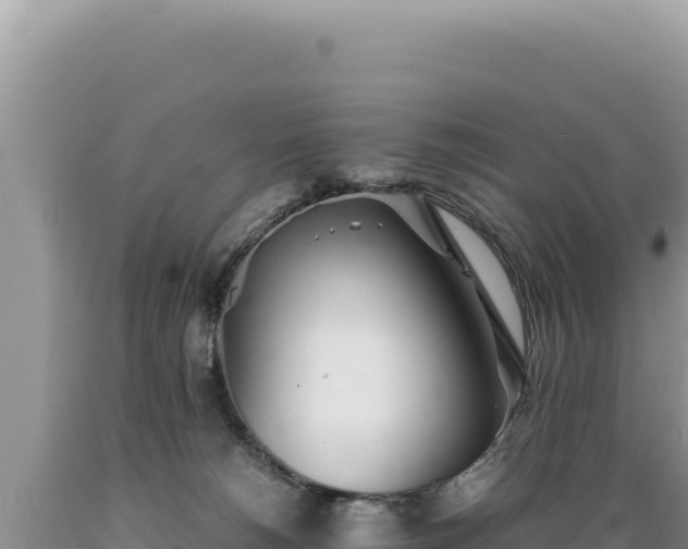 X0000089360180200706221208