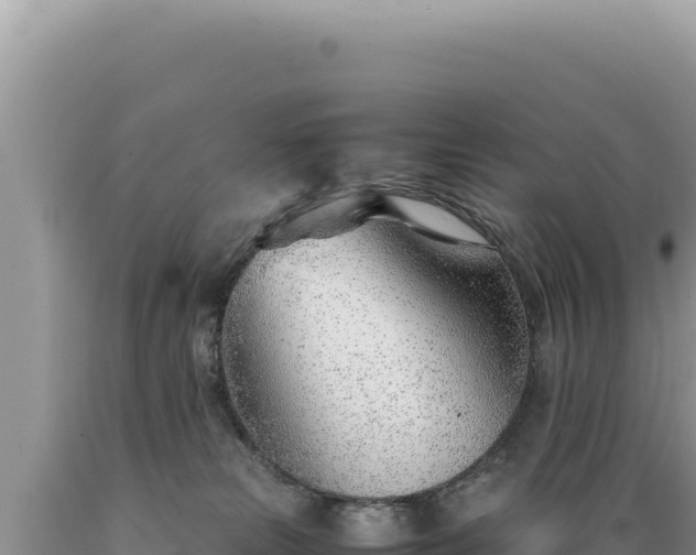 X0000089360181200706221208