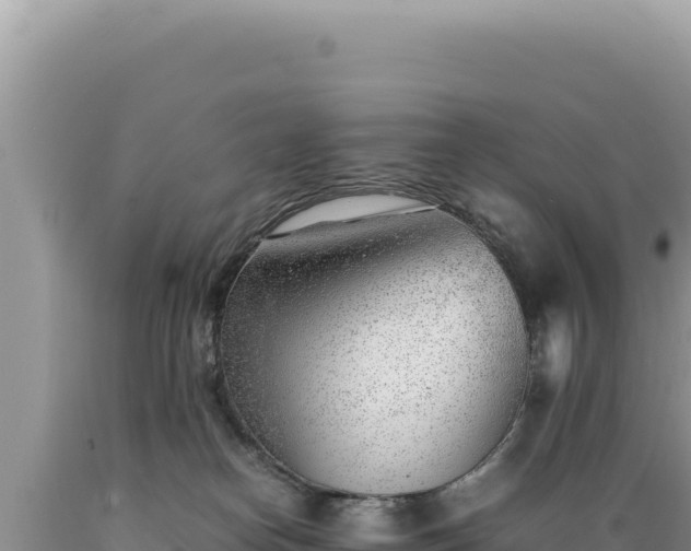 X0000089360182200706221208