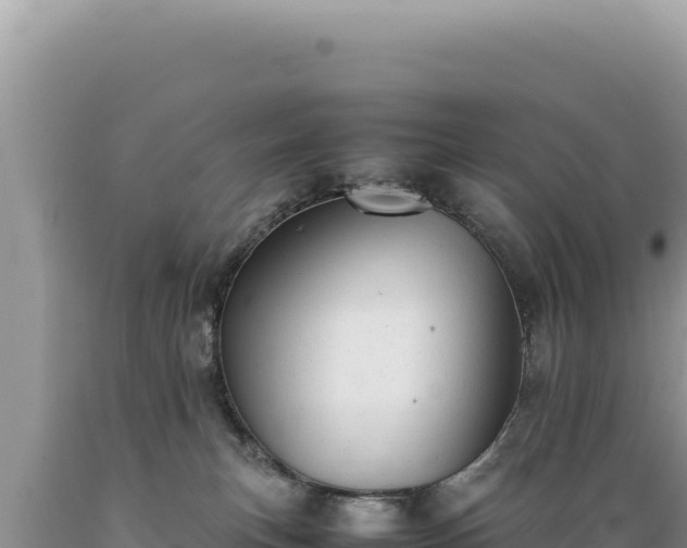 X0000089360183200706221208