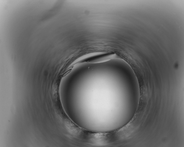X0000089360184200706221208