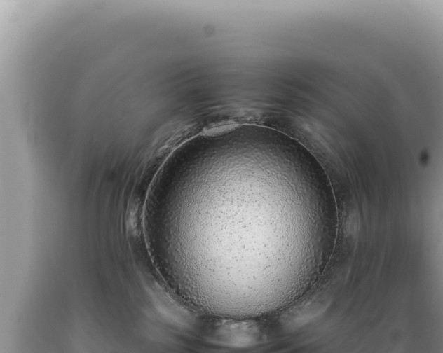 X0000089360185200706221208