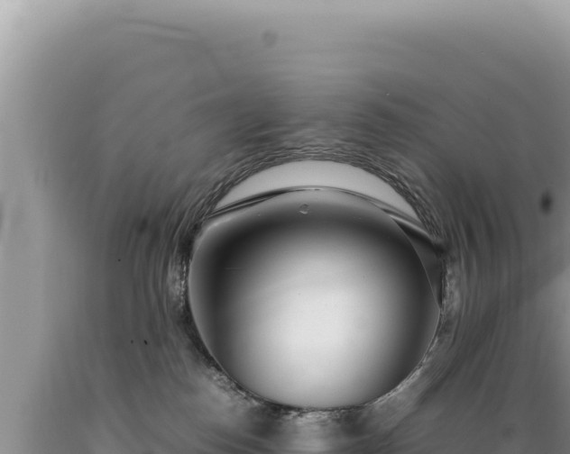 X0000089360186200706221208