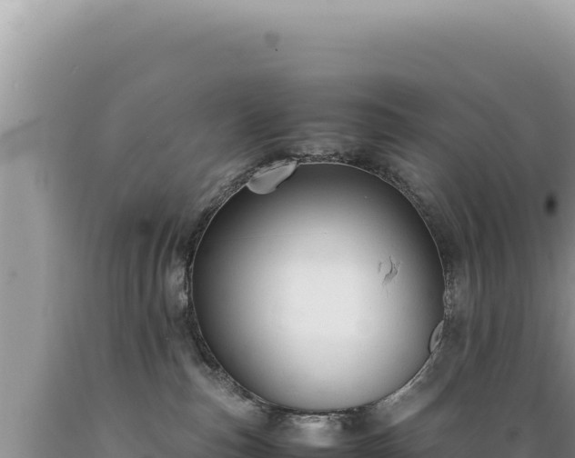 X0000089360187200706221208