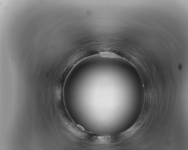 X0000089360188200706221208