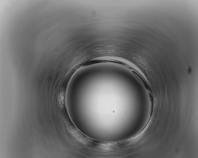X0000089360190200706221208