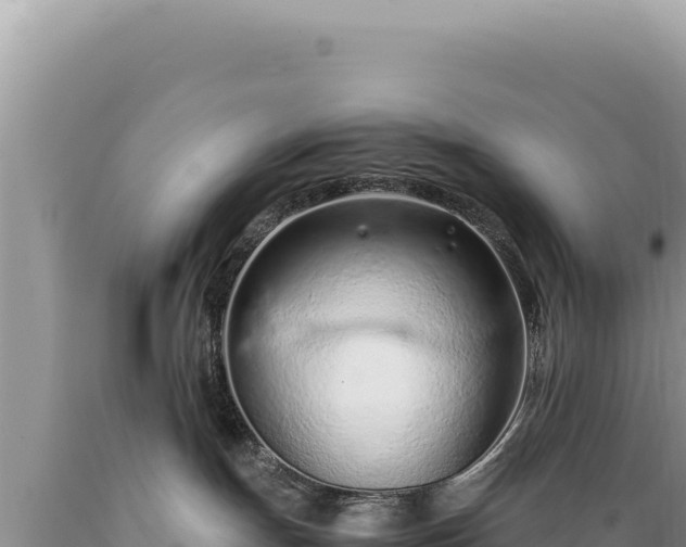 X0000089360191200706221208