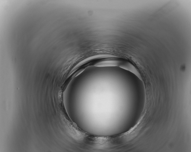 X0000089360192200706221208