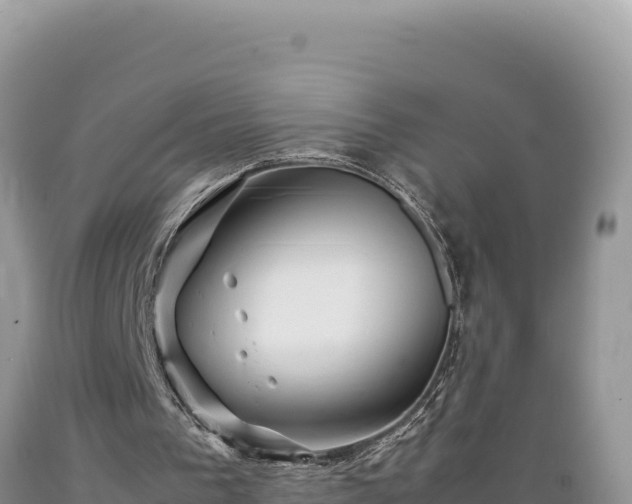 X0000089360193200706221207