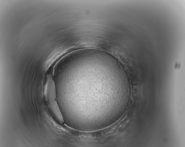 X0000089360194200706221207