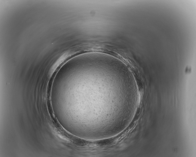 X0000089360195200706221207