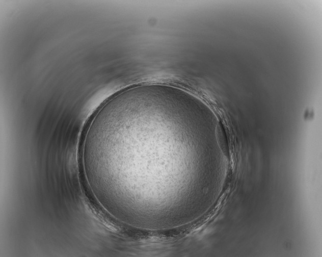 X0000089360196200706221207