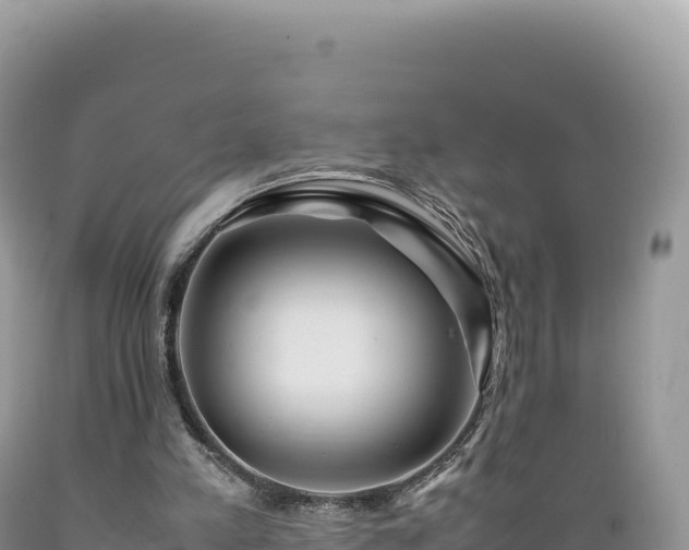 X0000089360197200706221207