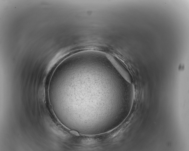 X0000089360198200706221207