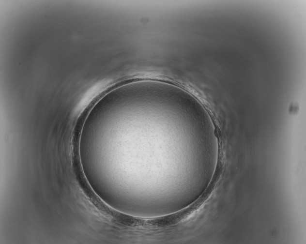 X0000089360199200706221207