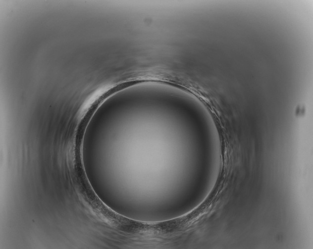 X0000089360200200706221207