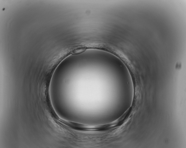 X0000089360201200706221207