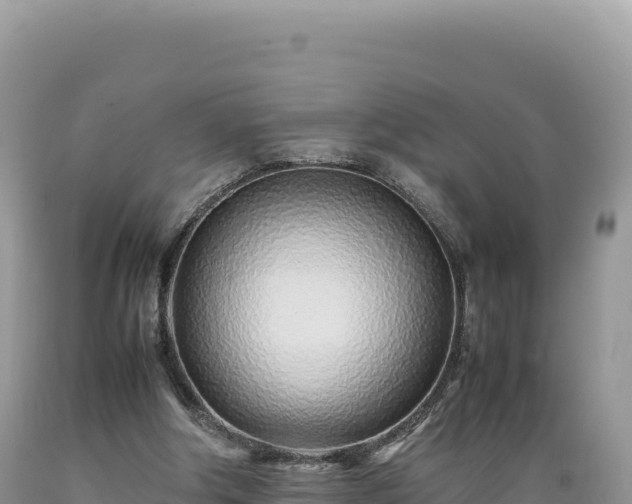 X0000089360202200706221207