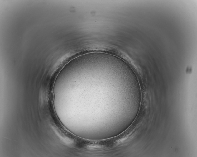 X0000089360203200706221207