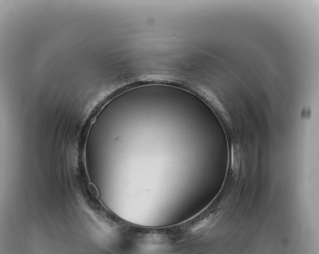 X0000089360204200706221207