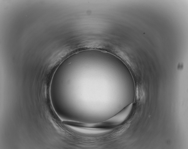 X0000089360205200706221207