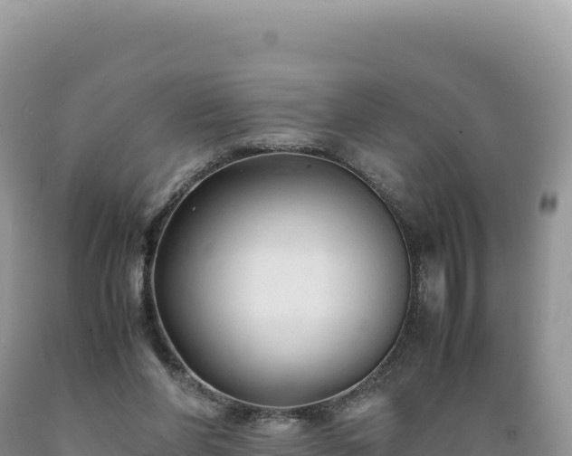 X0000089360206200706221207