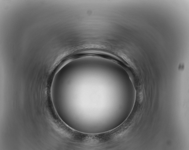 X0000089360207200706221207