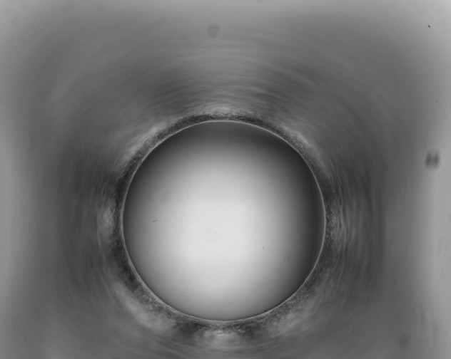 X0000089360208200706221207