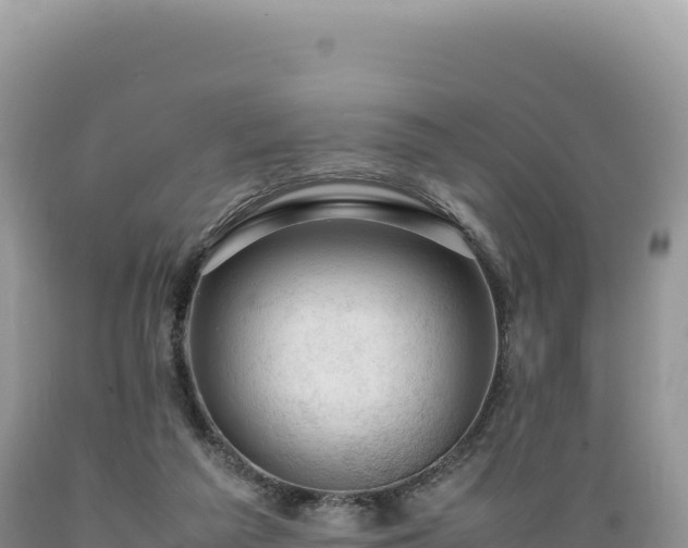 X0000089360209200706221207