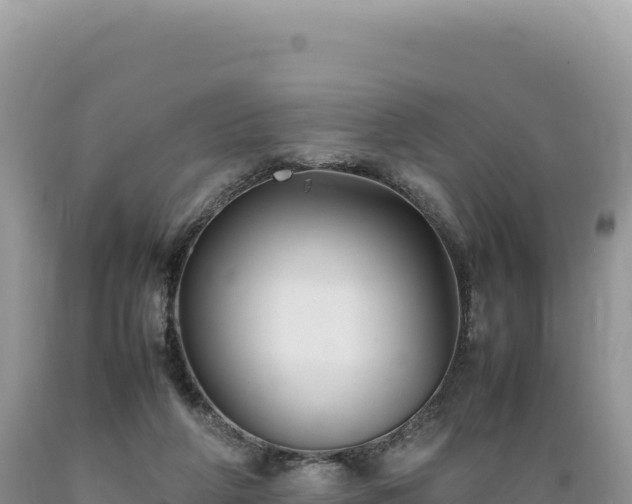 X0000089360210200706221207