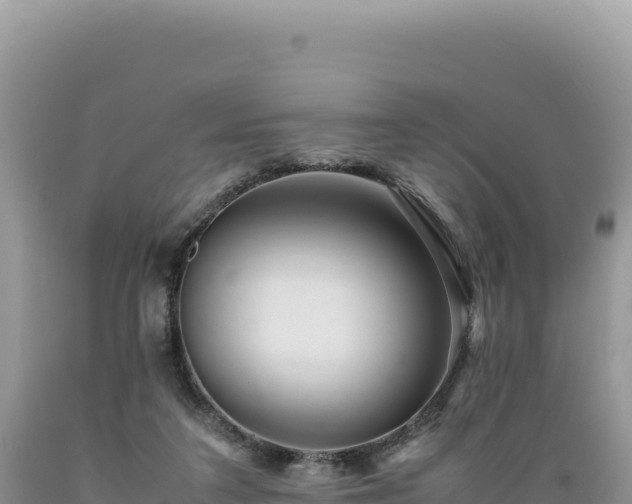 X0000089360211200706221207