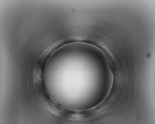 X0000089360212200706221207