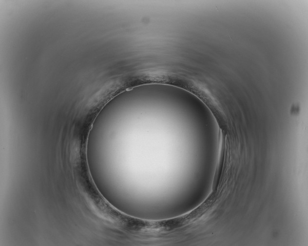 X0000089360213200706221207