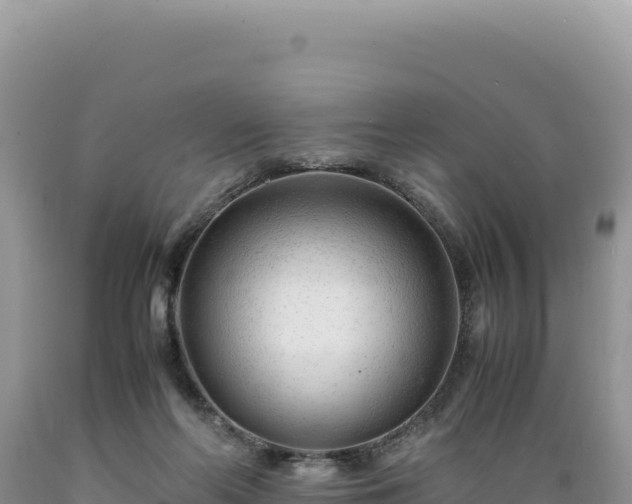 X0000089360214200706221207