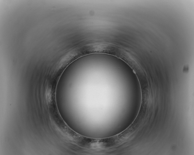 X0000089360216200706221207
