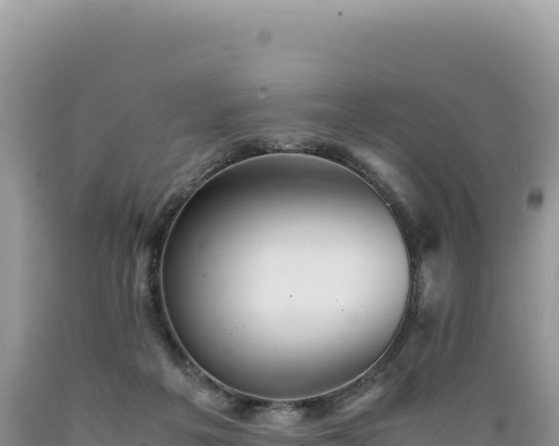 X0000089360217200706221207