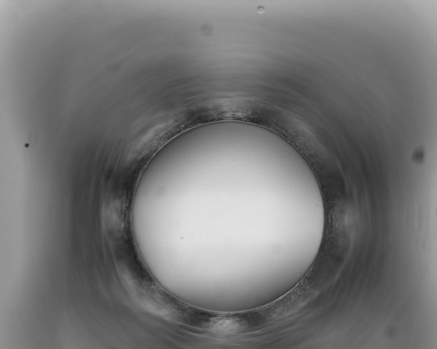 X0000089360218200706221207