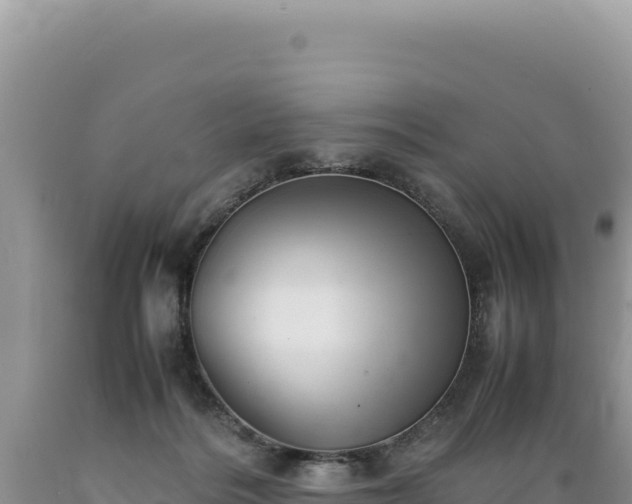 X0000089360220200706221207