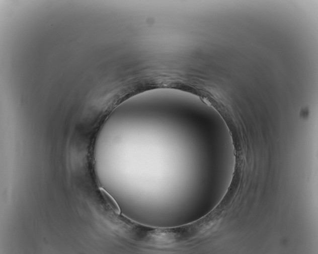 X0000089360221200706221207