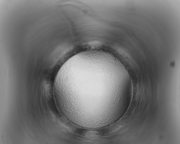 X0000089360222200706221207