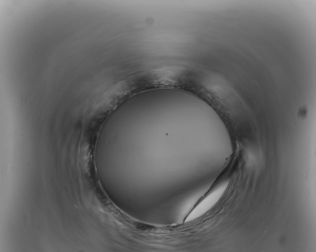 X0000089360223200706221207