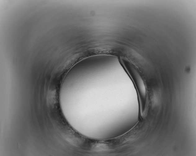 X0000089360224200706221207