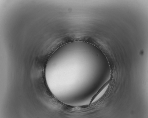 X0000089360225200706221207