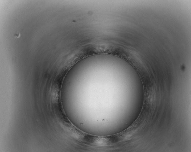 X0000089360226200706221207